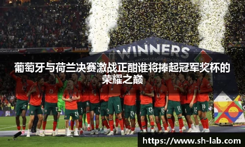 葡萄牙与荷兰决赛激战正酣谁将捧起冠军奖杯的荣耀之巅