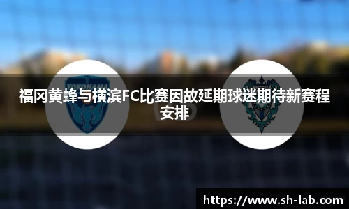 福冈黄蜂与横滨FC比赛因故延期球迷期待新赛程安排