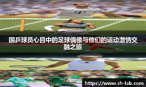 bsports官方网站